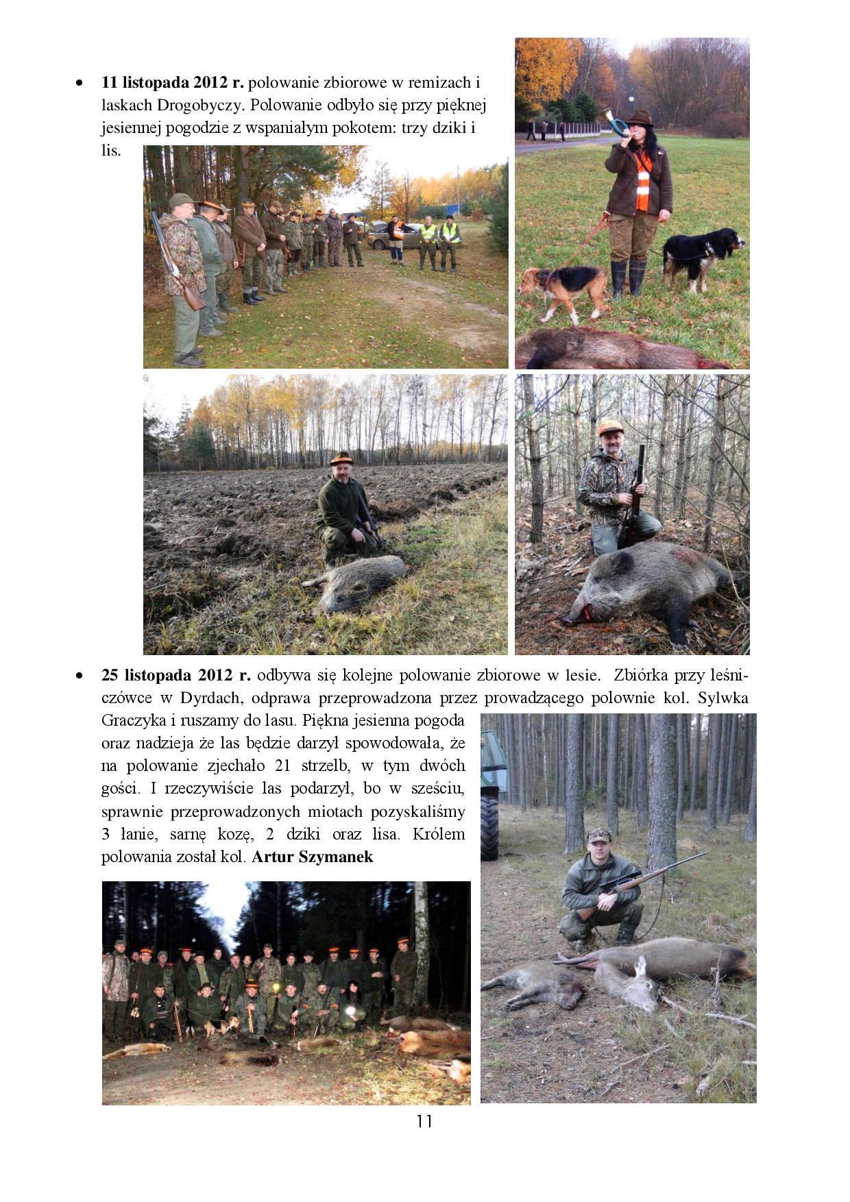 ROK 2012-page-011
